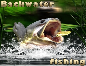 backwater fishing