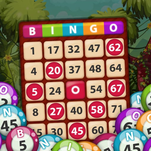 bingo king