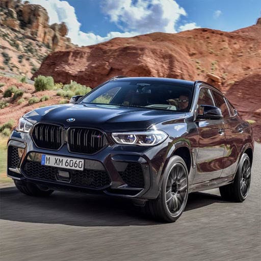 bmw x6 puzzle