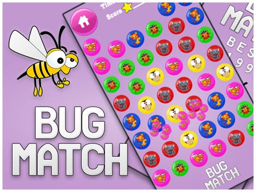 bug match for kids education