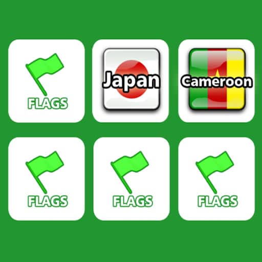 memory with flags