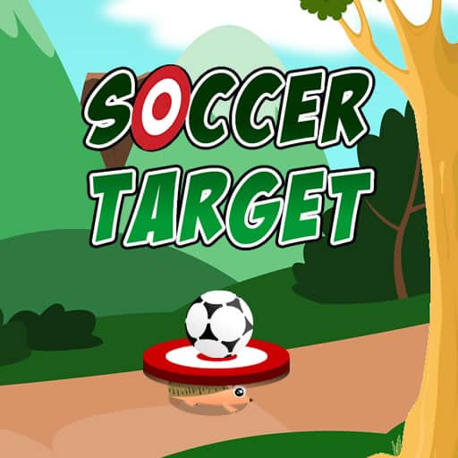 soccer target