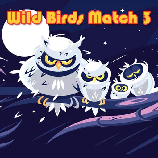 wild birds match 3