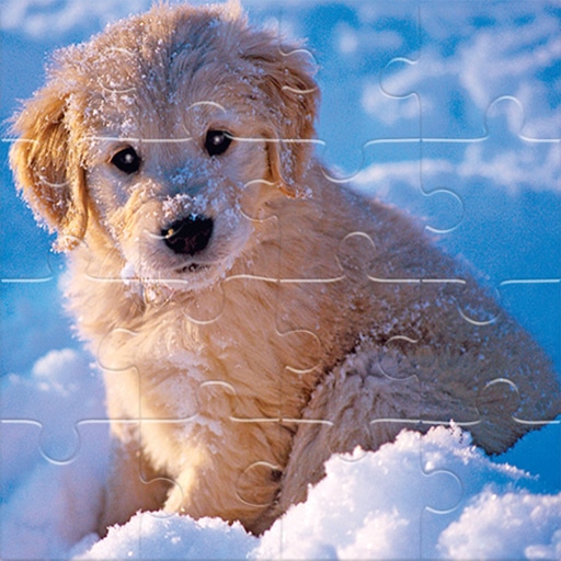 winter pets puzzle